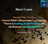 There is healing in black cumin for all diseases except death - Sahih Bukhari - 5688